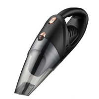Aspirator Auto, Flippy, pentru interiorul Automobilului, putere Turbo, alimentare DC 12 V, 42 x 14 cm, Negru