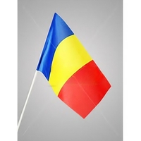 Set 12 Steaguri de Mana Tricolor, Flippy, Dimensiune 20x30 cm, Stegulet, Drapel