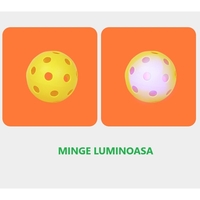 Joc Spikeball, Flippy, Joc in 2, pentru Plaja, Parcuri, Interior, 2 Plase, 2 Mingi, Multicolor