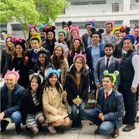 Balon din Folie Metalizata, Flippy, Tip Coronita cu Urechi, Model Ursuleti, Ambalaj Individual, Pai Inclus, Umflare cu Aer sau Heliu, 28 x 31 cm, Albastru