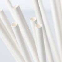 Set 100 Paie, Flippy, din Hartie, 20 cm, Model Uni, Alb