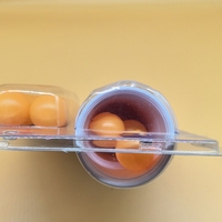 Joc de Baut BEER PONG, Flippy, Set din 12 Mingi de Tenis si 12 Pahare Reutilizabile, Joc Interactiv pentu Adulti, Albastru Rosu