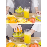 Storcator de Fructe 2 in 1, Flippy, cu Razatoare si Separator Ou, 14.8 x 8 x 13 cm, Verde