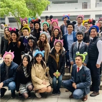 Balon din Folie Metalizata, Flippy, Tip Coronita cu Urechi, Model Tigru Uimit, Ambalaj Individual, Pai Inclus, Umflare cu Aer sau Heliu, 33 x 33 cm, Portocaliu