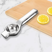 Storcator de Citrice Manual, Flippy, Storcator de Fructe Moi, Rezistent, Usor de Folosit si Depozitat, Durabil, Calitativ, 20.5 x 7cm, Inox, Argintiu
