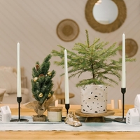 Lumanare Decorativa, Flippy, pentru Masa, 25 cm, din Parafina, fara Fum, Ardere 7.5h, Alb