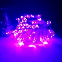 Instalatie de Craciun cu Baterii Fir Transparent  Tip Sir 5 m 50 LED -uri Mov