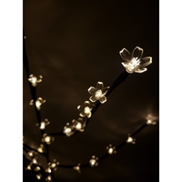 Decoratiune Luminoasa, Flippy, Crenguta, cu Baterii, 72 LED -uri, Flori, Alb Cald