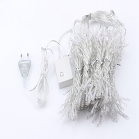 Instalatie de Craciun Tip Perdea Fir Transparent 3 X 2 m 240 Leduri Alb Rece 2783W