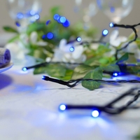 Instalatie de Craciun liniara Yoto, 17 m, din care 1 m cablu priza 220V, 200 LED, 8 jocuri de lumini, controler, fir negru, albastru