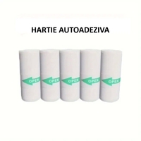 Set Camera Instantanee pentru Copii, Flippy, Ecran HD 2.4'', 24MP, 720P Video, 1200 mAh, cu Functie de Printare Alb-Negru, cablu USB-C, Bluetooth, Compatibil iOS/Android, Imprimare APP, Model Dinozaur, Verde