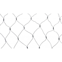 Instalatie Craciun tip plasa, cu transformator 31V, 1.5 m x 1.5 m, Alb Cald, 120 LED-uri V5, 8 jocuri de lumini, fir verde, Flippy