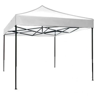 Cort pliabil pentru Evenimente, cadru metalic pentru curte si gradina, 2x2 m, Alb, Flippy