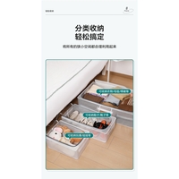 Cutie de Depozitare pentru Pantofi, Flippy, 60*30*21CM , din Plasa PVC Impermeabila si Cadru de Otel, Pliabila, Fermoar Bidirectional, Transparenta