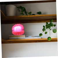 Lampa de Veghe, Flippy, Model Scoica cu Perla, Lumina Calda, 10 x 8.5 cm, Led, Baterii Incluse 3 x LR44, Roz