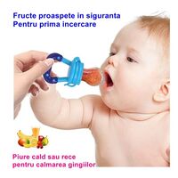 Suzeta pentru diversificarea alimentatiei/dentitie Flippy, potrivit pentru fructe si piure proaspat, Albastru, fara BPA