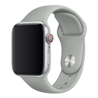 Ceas Smartwatch, Flippy, Editia 9, Apeluri Bluetooth, Incarcare Wireless, Afisaj 2.01 inch, Rezolutie 240 x 296, NFC, Puls, Gri