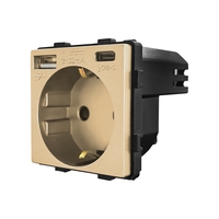 Modul Priza Simpla + USB-A + USB-C LUXION, auriu
