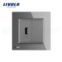Priza USB Livolo cu rama din sticla, gri