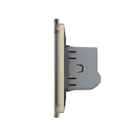 Intrerupator Dublu cu Revenire, Contact Uscat si 12/24V cu Touch LIVOLO – Serie Noua, auriu