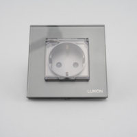 Priza Simpla cu Capac de Protectie cu Rama din Sticla LUXION, gri