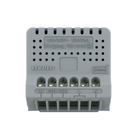 Modul Intrerupator Dublu cu Reset si Contact Uscat LIVOLO - Serie Noua