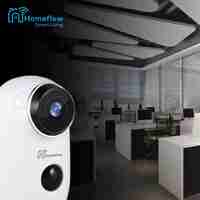 Camera de supraveghere inteligenta Wireless Homeflow C-6002, Comunicare bidirectionala, Detectie miscare