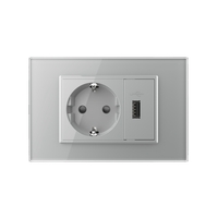 Priza simpla cu USB Livolo standard italian, gri