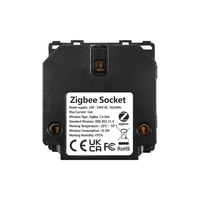 Modul Priza Inteligenta cu Protocol Zigbee si Monitorizare Consum, Fara Rama Din Sticla LUXION, auriu