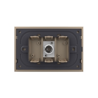 Priza Simpla TV Livolo cu Rama din Sticla - Serie Noua, auriu