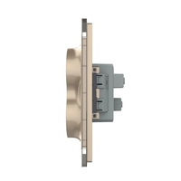 Priza Dubla Livolo cu Rama din Sticla Pentru Doza Simpla, auriu