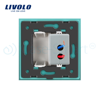 Priza USB Livolo cu rama din sticla, verde