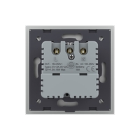 Priza Schuko + USB-C LIVOLO, Standard German - Serie Noua, gri