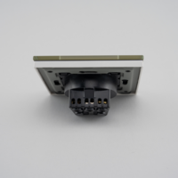 Priza Simpla LUXION cu Rama din Sticla, auriu