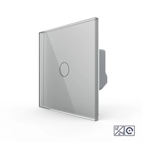 Intrerupator Simplu cu Revenire, Contact Uscat si 12/24V cu Touch LIVOLO – Serie Noua, gri