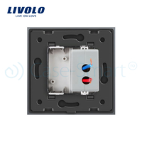 Priza USB Livolo cu rama din sticla, gri