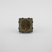 Modul Priza Simpla Fara Rama Din Sticla LUXION, auriu