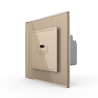 Priza USB Tip C Livolo cu Rama din Sticla, auriu