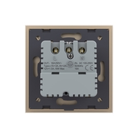 Priza Schuko + USB-C LIVOLO, Standard German - Serie Noua, auriu