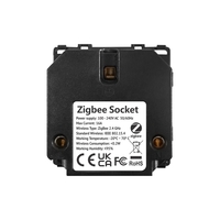 Modul Priza Inteligenta cu Protocol Zigbee Fara Rama Din Sticla LUXION, gri