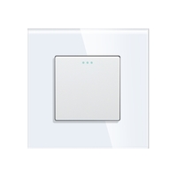 Intrerupator Simplu Mecanic LUXION cu Rama din Sticla, alb