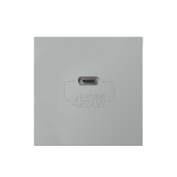 Modul Priza USB Tip C Livolo - Serie Noua, gri