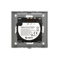 Intrerupator Dublu cu Touch din Sticla LUXION, protocol ZigBee, auriu