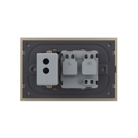 Priza simpla cu USB Livolo standard italian, auriu