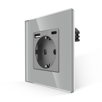 Priza Simpla + USB-A + USB-C LUXION cu Rama din Sticla, gri