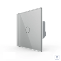 Intrerupator Simplu cu Variator LIVOLO cu Touch Din Sticla – Serie Noua, gri