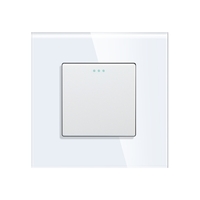 Intrerupator Simplu Mecanic cu Reset / Revenire LUXION cu Rama din Sticla, alb