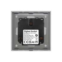 Priza Inteligenta cu Protocol Zigbee si Monitorizare Consum cu Rama Din Sticla LUXION, gri