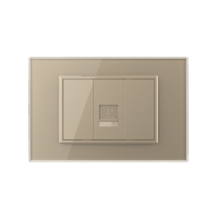 Priza internet Livolo cu rama din sticla - standard italian, auriu