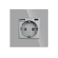 Priza Simpla + USB-A + USB-C LUXION cu Rama din Sticla, gri